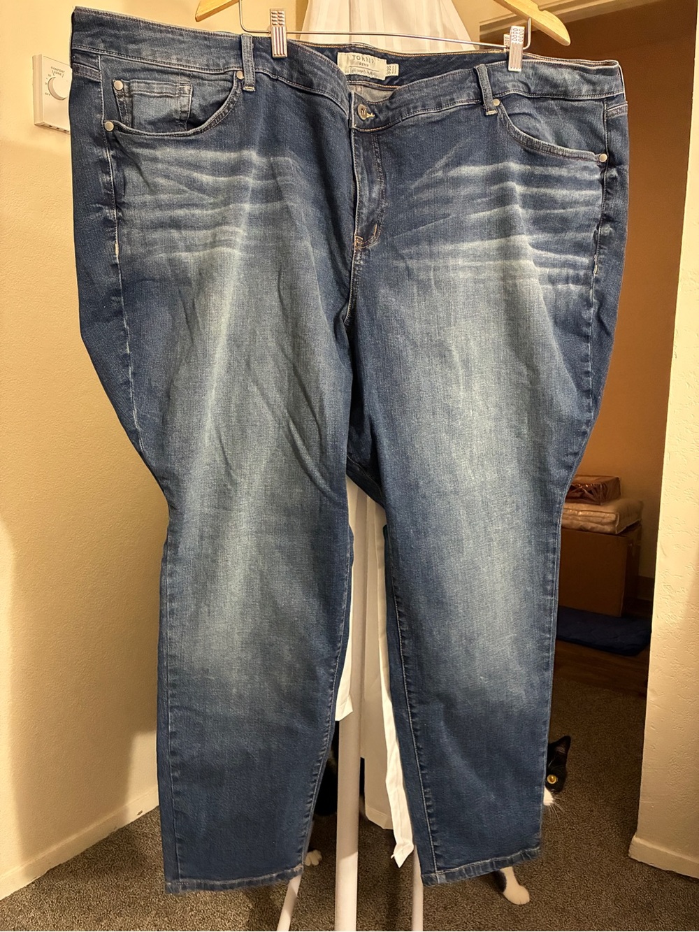 torrid Medium Blue Washed Jeans